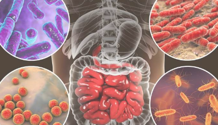 科学家开发出数学指数来区分健康的微生物组和患病的微生物组